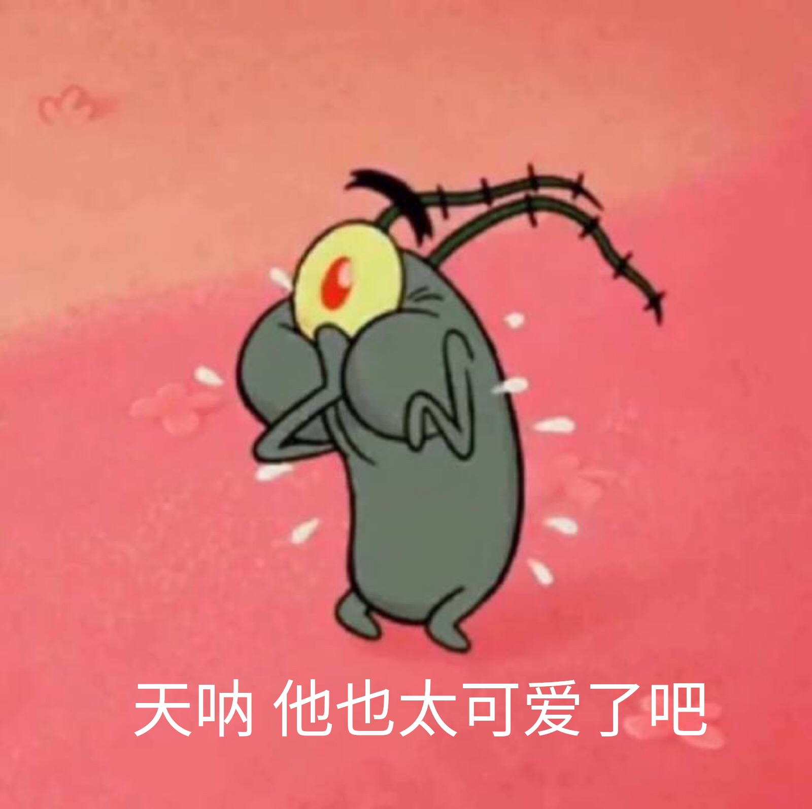 天呐 他可太可爱了吧