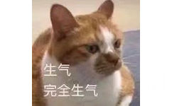 生气 完全生气（猫咪）