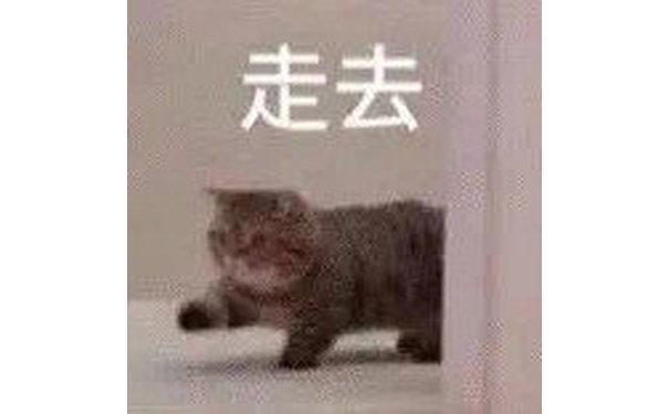 走去(猫猫表情包)