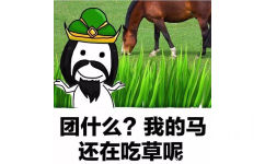 团什么？我的马还在吃草呢 - 王者农药怼人专用表情包 ​