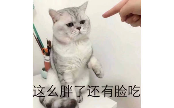 这么胖了还有脸吃