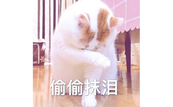 偷偷抹泪(猫咪)