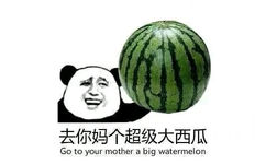 支你妈个超级大西瓜（go to your mother a big watermelon） - 去你妈个大冬瓜