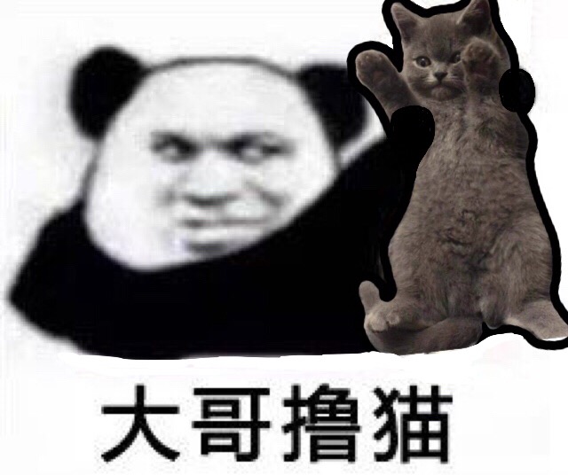 大哥撸猫