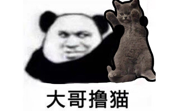 大哥撸猫