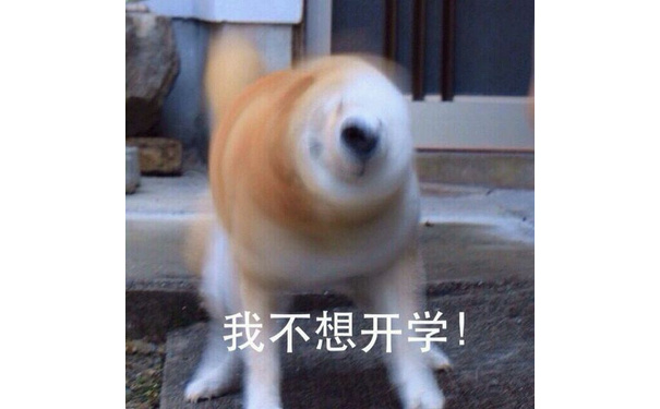 我不想开学！ - doge的内心独白