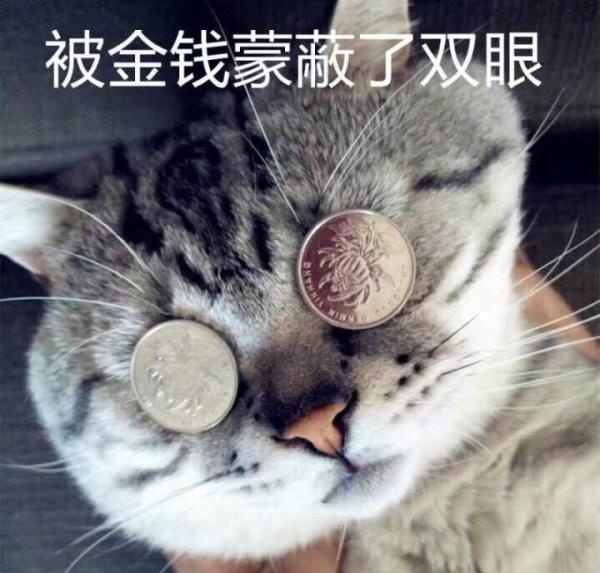 被金钱蒙蔽了双眼 - 被金钱蒙蔽了双眼