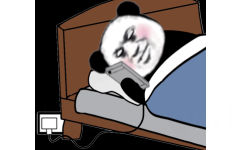 熊猫头睡觉刷手机