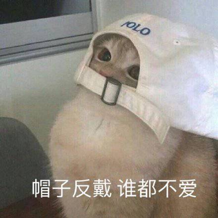 帽子反戴谁都不爱