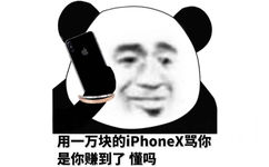 用一万块的 DiPhone骂你是你赚到了懂吗