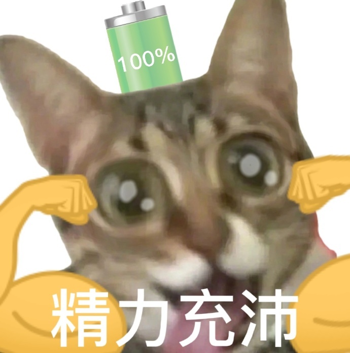 100%精力充沛