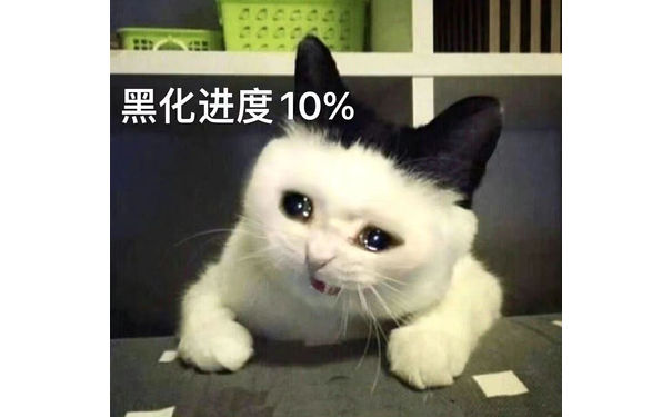 黑化进度10%