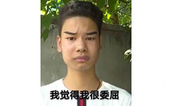 我觉得我很委屈 - 发际线男孩表情包