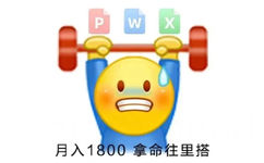 月入1800拿命往里搭