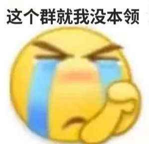 这个群就我没本领