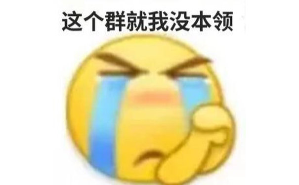 这个群就我没本领