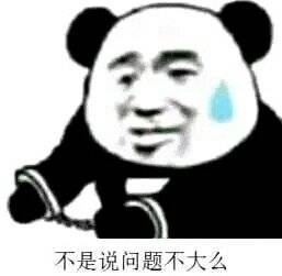 不是说问题不大么（熊猫头戴手铐）