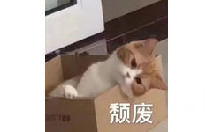 700颓废(猫猫表情包)