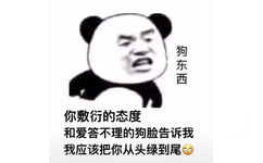 狗东西你敷衍的态度和爱答不理的狗脸告诉我我应该把你从头绿到尾