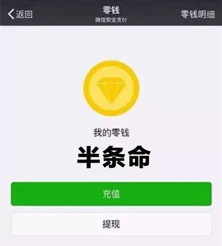 微信-我的零钱：半条命（双11后的我）