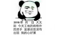 2018年月日大太阳今天工地的砖格外的烫手富婆还是没有出现我的心好累 - 熊猫头写日记记仇表情包