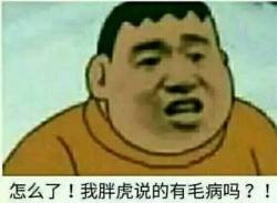 怎么了！我胖虎说的有毛病吗？！ - 胖虎表情包 ​