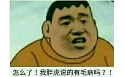 怎么了！我胖虎说的有毛病吗？！ - 胖虎表情包 ​