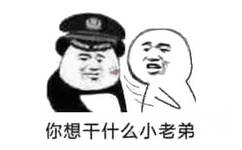 你想于什么小老弟(怼当场逮捕表情包)