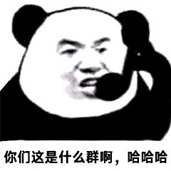 你们这是什么群啊,哈哈哈(你们这是什么群啊)