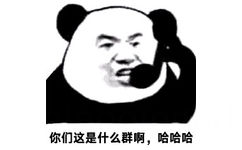 你们这是什么群啊,哈哈哈(你们这是什么群啊)