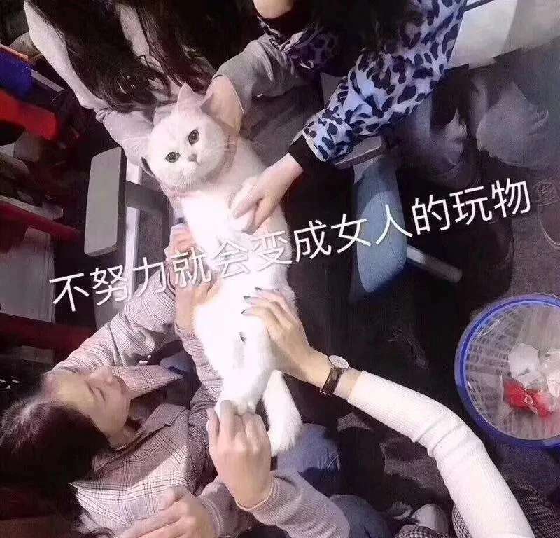 不努力就会变成女人的玩物