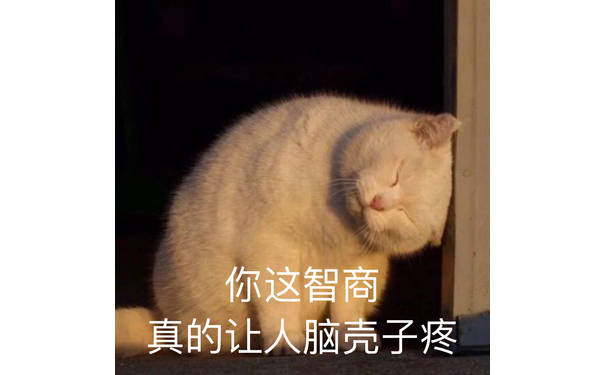 你这智商真的让人脑壳子疼（猫咪表情包）