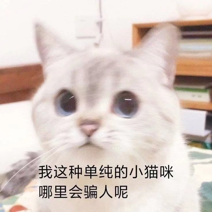 我这种单纯的小猫咪哪里会骗人呢