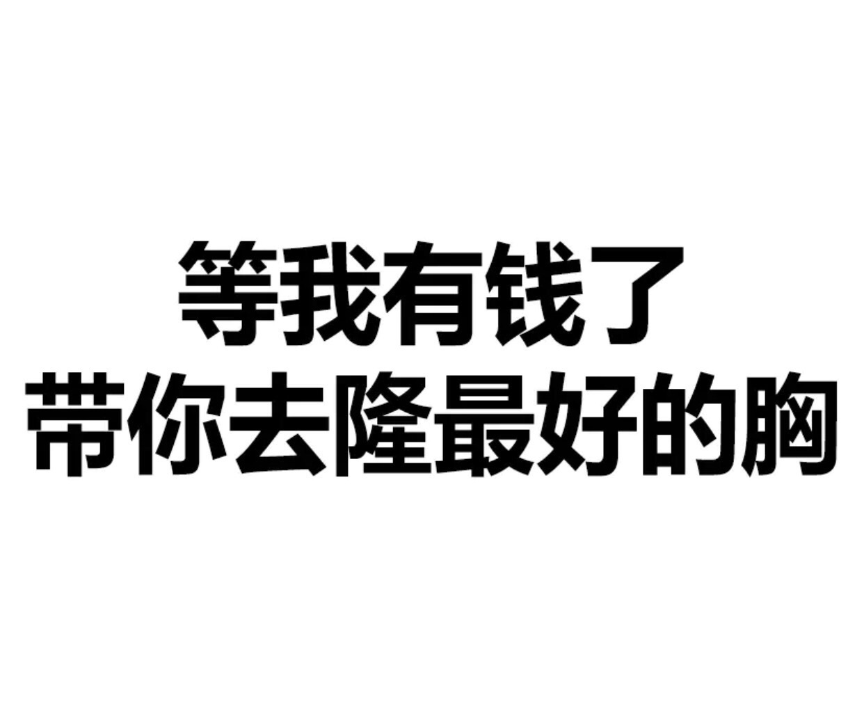 等我有钱了，带你去隆最好的胸 - 文字表情，简单粗暴