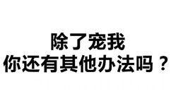 除了宠我 你还有其他办法吗？ - 撤回有用吗？出卖的尊严还能收回吗？ （纯文字表情包）