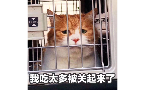 我吃太多被关起来了（猫咪）