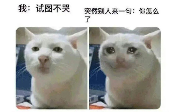 我：试图不哭突然别人来一句：你怎么了