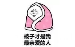 被子才是我最亲爱的人 - 被子才是我最亲的人