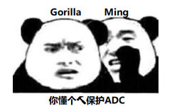 Gorilla Ming.你懂个<保护ADC - RNG 牛逼