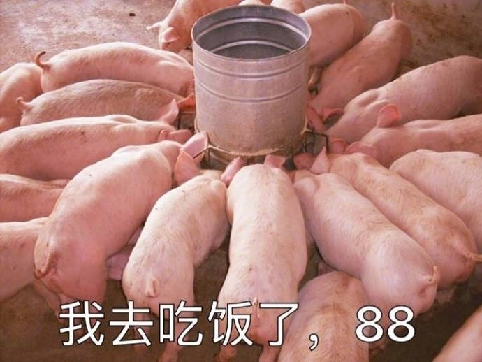 我去吃饭了，886 - 萌猪表情系列