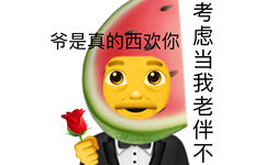 爷是真的西欢你考虑当我老伴不 - 小黄脸 emoji 表情包