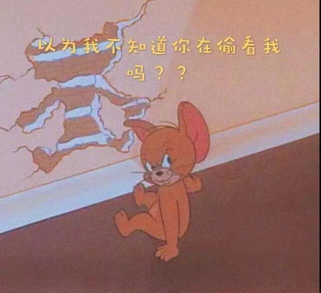 以为我不知道你在偷看我吗 - 猫和老鼠朋友圈背景图