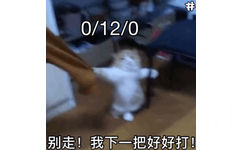 0/12/0 猫咪：别走！我下一把好好打！