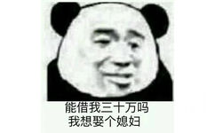 能借我三十万吗？我想娶个媳妇