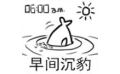 0600a.m早间沉豹 - 一组很火的海豹表情包