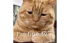 I'm fine 极了（我好极了）