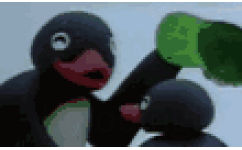 企鹅家族戴绿帽动图 - 可爱的企鹅家族动图表情