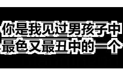 你是我见过男孩子中最色有最丑中的一个 - 透明纯文字表情包 ​