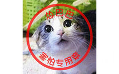 害怕专用章 猫咪怂巴巴