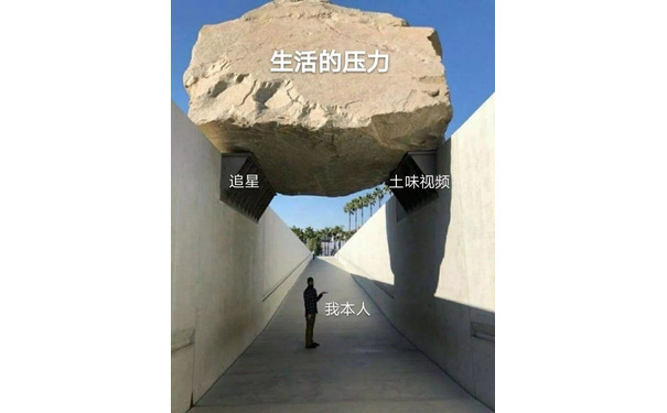 生活的压力追星土味视频我本人 - 是什么帮你支撑生活的压力！